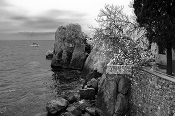 am Meer / ***