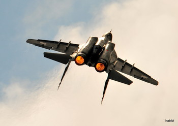 Fulcrum :) / MiG-29 Fulcrum der Polish Air Force aus Malbork in Action, Air Show Sanicole 2017.