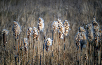  / autumn
