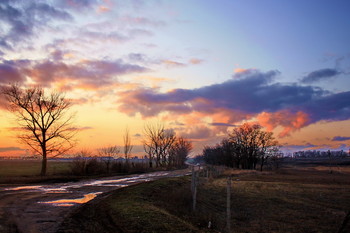 Winter / ***
