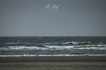 North by northwest, hard wind / Winter an der dänischen Kuste.