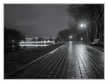 In der Nacht Park / ***