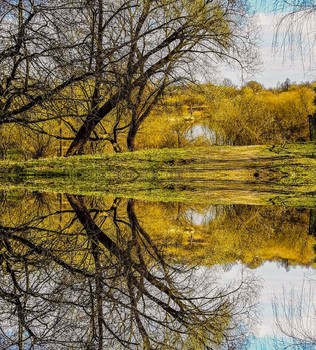 Spiegelung / ***