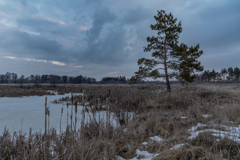 am Ufer / ***