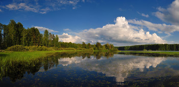 Sommer- / ***