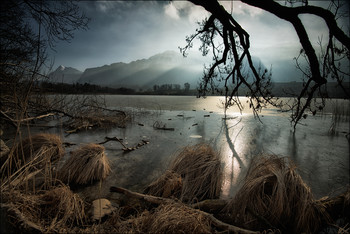 Nebel über dem See / Durchblick