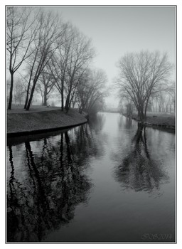 im Nebel * / ***