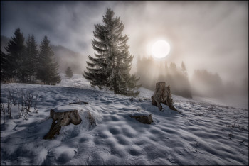 Alpen / ***