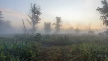 Early Morning / ***