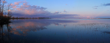 Abend / ***