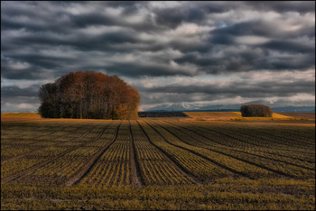 Kulturlandschaft / Felder