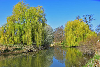 Spring awakening at the river of silence / Der Frühling zeichnet seine ersten Pastellfarben in die Natur, ein Labsal für jedes wintergetrübte Auge
