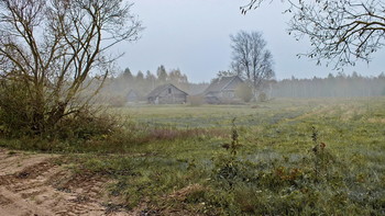 Farm / ***