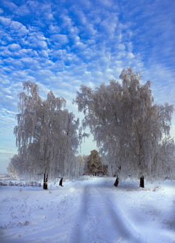 Abschied von Winter / ***