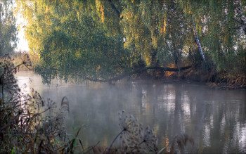 Morgen auf dem Fluss / ***