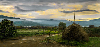 Rural Morgen / ***