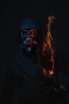  / ***