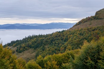 Karpaten / -------