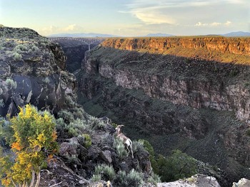 Abend / Taos