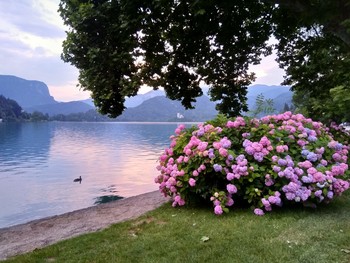 Auf dem See / ***