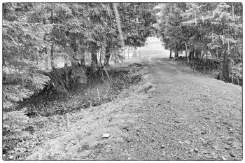 Schneeregen / ***