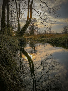 Frühlingsthema / ***