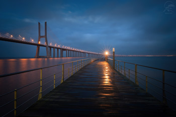 Vasco Da Gama bridge / ***
