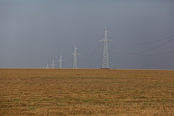 Feld / ***