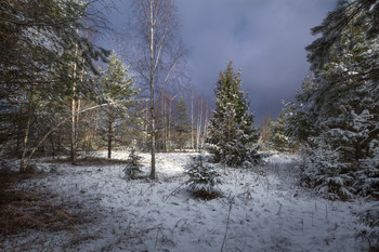 Der Winter ist zurück / ***