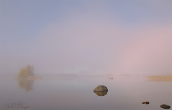 Herbstnebel / ***