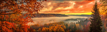  / Autumn
