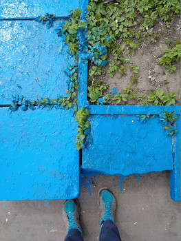 blau / ...