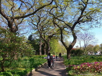Planten un Blomen Hamburg / ***