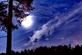 Sommernacht / ***