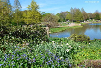 Planten un Blomen Hamburg / ***