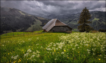 Sturmwetter / Regen