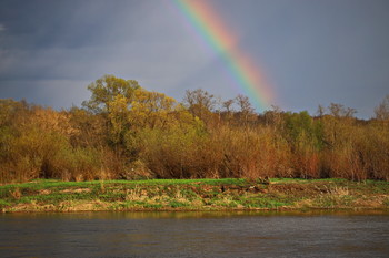 Regenbogen / ***