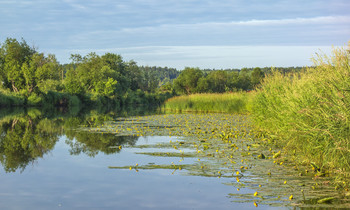 Morgen auf dem Fluss / ***