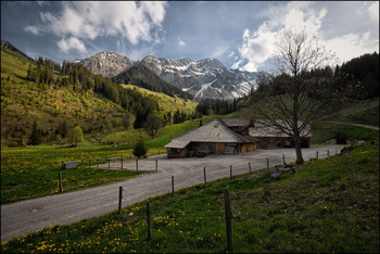 Alpfrühling / Aphütte von Anno 1711