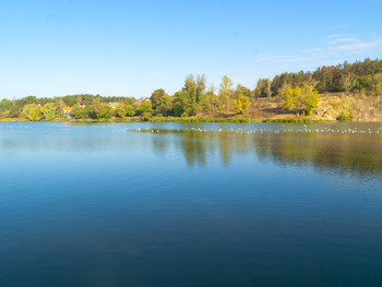 Morgen auf dem See / ***