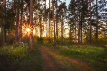 Spring Bank / ***