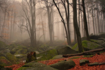 Natur / Natur