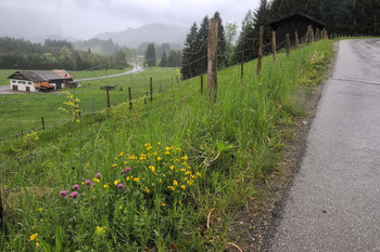 Zwischenlandung / ***