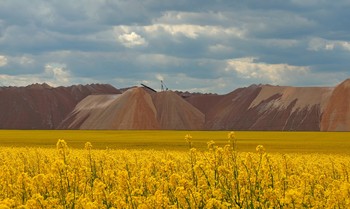 Weißrussisch Landschaft / ***