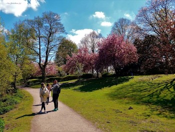 Stadtpark Hamburg / ***
