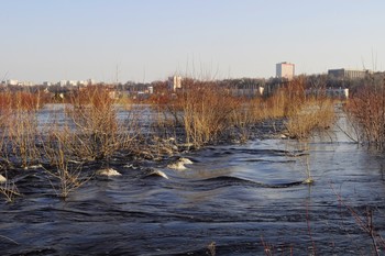 Hohe Wasser / ***