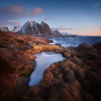 Olenilsøya / ***