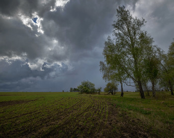 Vor dem Sturm / ***