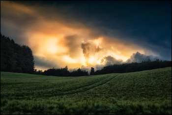 Sturmwetter / Kornfeld