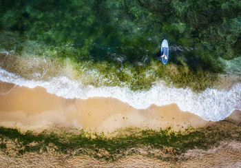 Surfing start / 2020